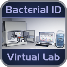 Bacterial ID Lab
