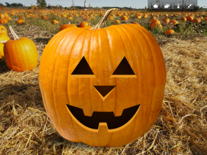 Halloween Pumpkins App