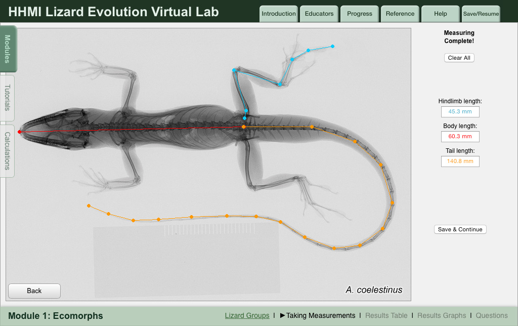 hhmi biointeractive stickleback lab answers