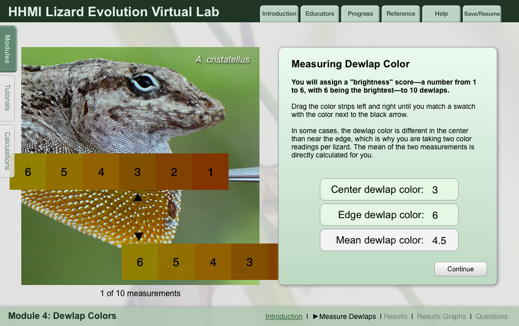 hhmi biointeractive stickleback lab answers